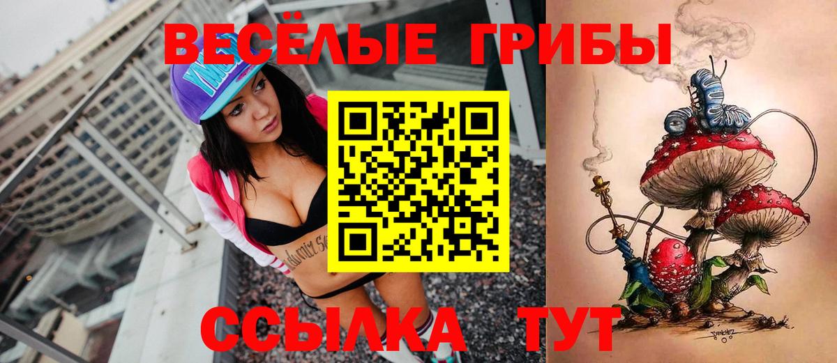Псилоцибиновые грибы Cubensis Семёнов