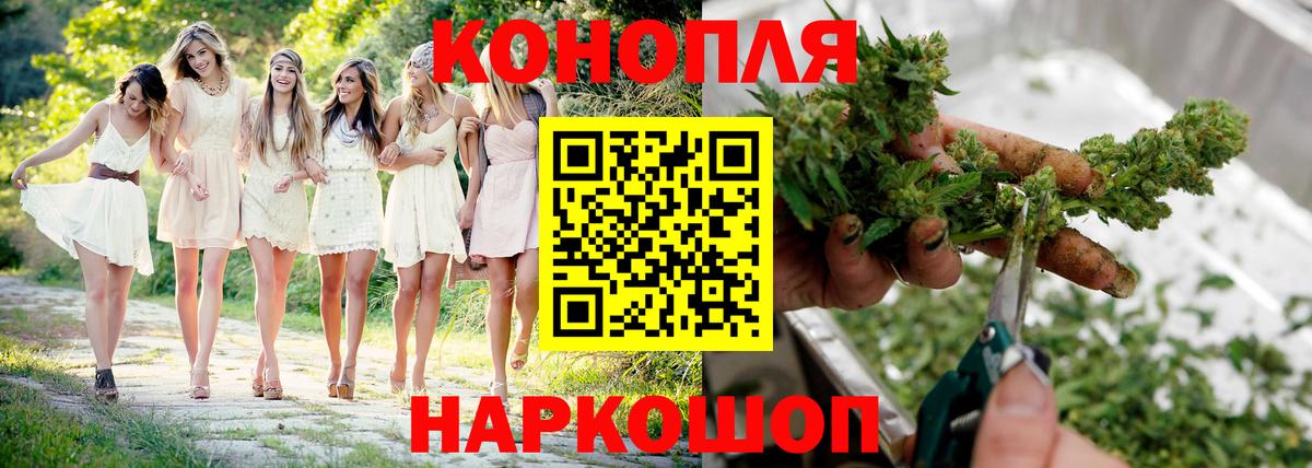 Конопля индика  Шишки марихуана планчик  Вход с VPN  Семёнов  Бошки Шишки Bruce Banner 